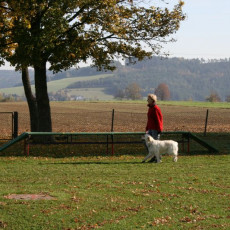 2008 10 18 Teamtest klein 0071