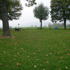 Teamtest HSV 20070009