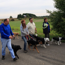 02 Spaziergang 21 09 08 03