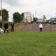 Gruppe4 Quadrille 21 09 08 002 21.09.2008 15 02 56