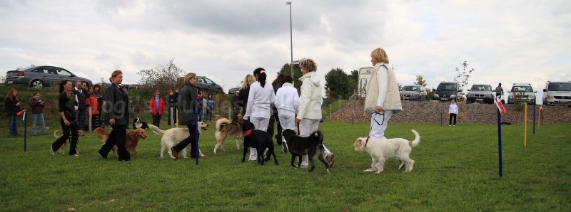 Gruppe4 Quadrille 21 09 08 002 21.09.2008 15 04 36