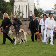 Gruppe4 Quadrille 21 09 08 002 21.09.2008 15 05 01