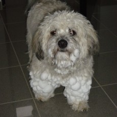 Einstein in Zavelstein 02