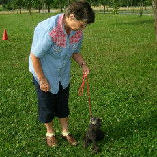 Uschi s Vormittagsgruppe0006 i