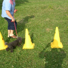 Uschi s Vormittagsgruppe0028 i