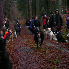 2007 Adventsfeier0055