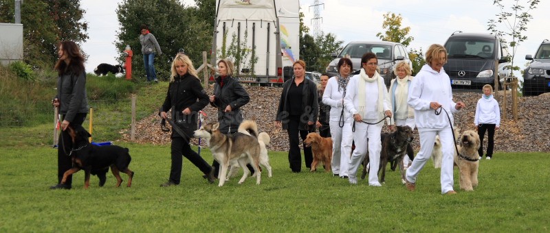 Gruppe4 Quadrille 21 09 08 002 21.09.2008 15 05 01